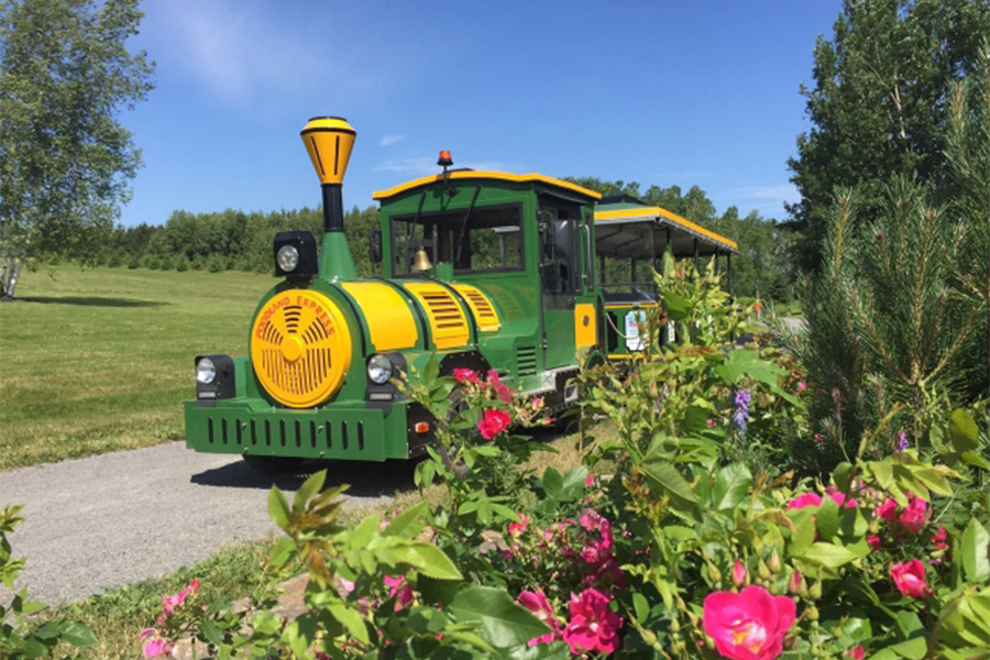 28-sits öppen vagn klassiskt stort spårlöst sightseeingtåg